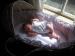 Celebrate! Unity - Unity's first days home!: Sunny Days!
