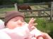 Celebrate! Unity - Full of smiles: saying hi to the pony