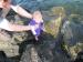 Celebrate! Unity - My First Independence Day.: Getting my feet wet!