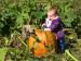 Celebrate! Unity - Autumn Fun!: Unity found a pumpkin!