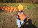 Celebrate! Unity - October Festivities: carrying the pumpkins to adah